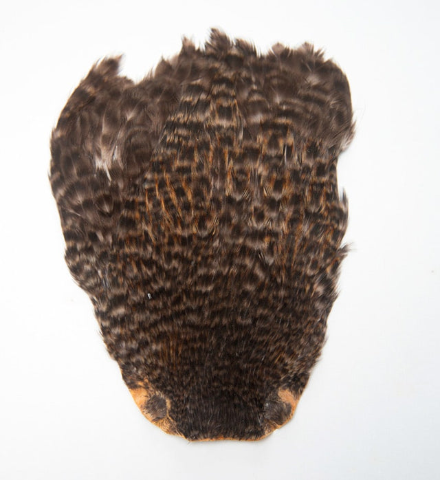 JN111