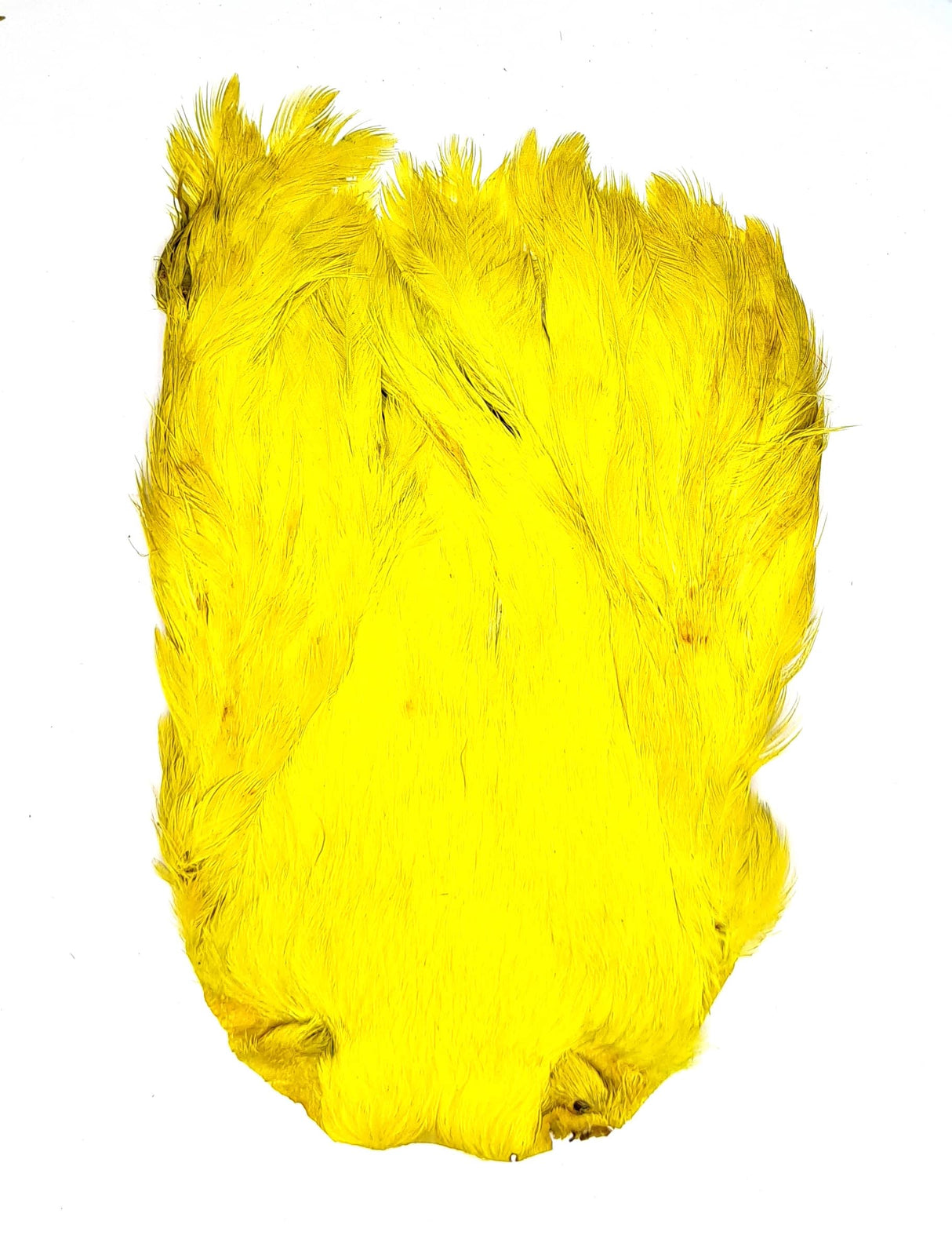 JN1135 Yellow