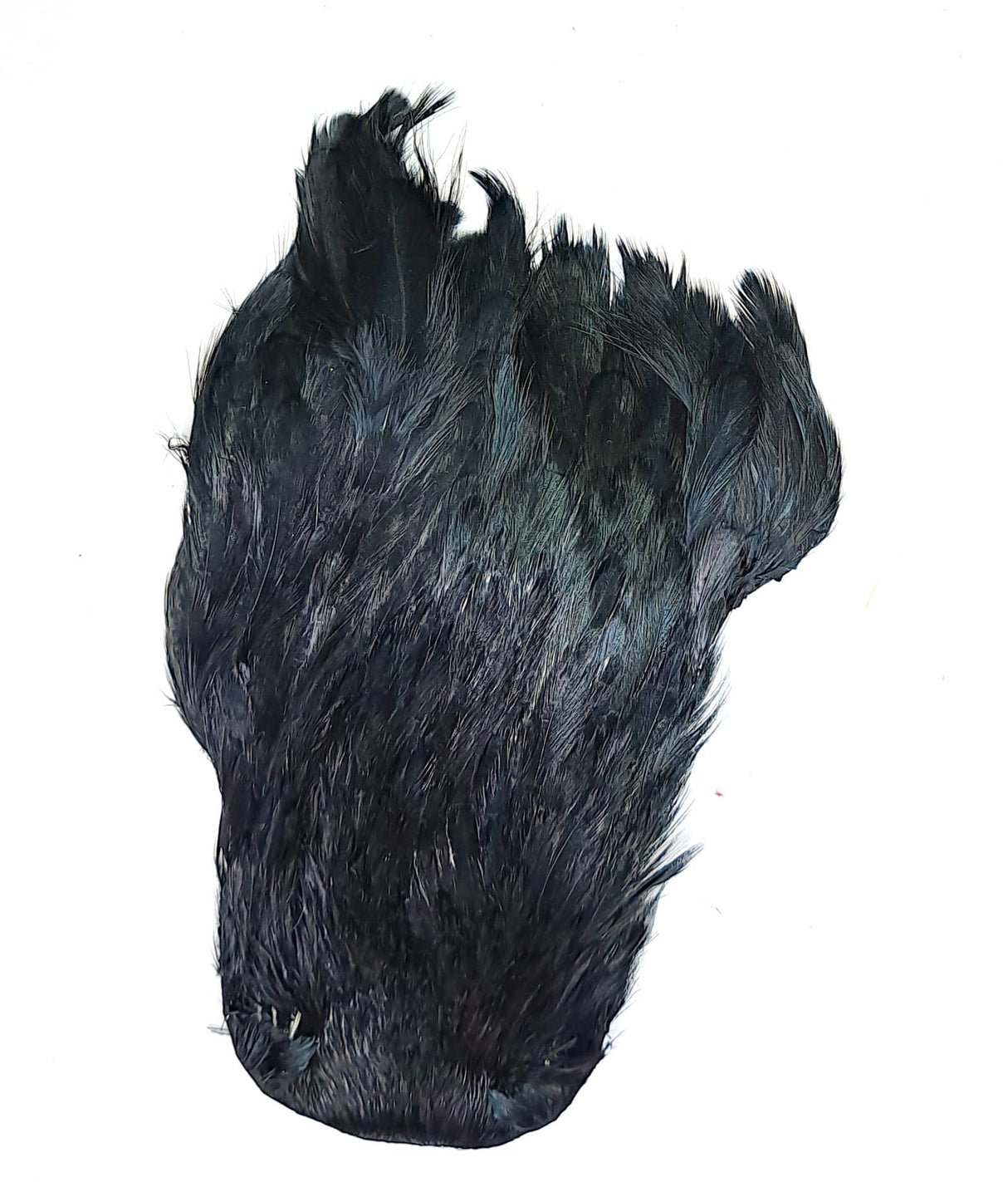 JN1136 Black