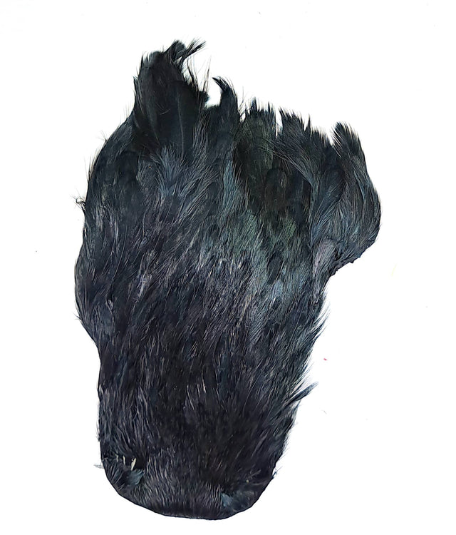 JN1136 Black