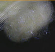 Laser Yarn White