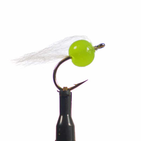 Lime Chartreuse