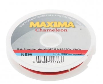 Maxima Chameleon