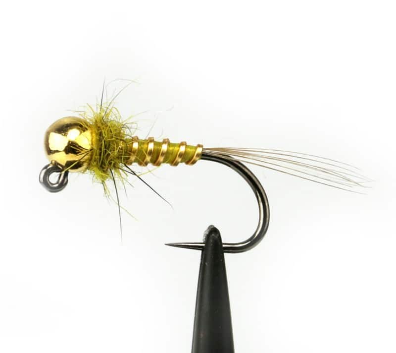Medium Flat Fly 2