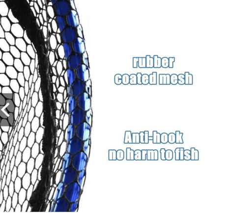 Net 2