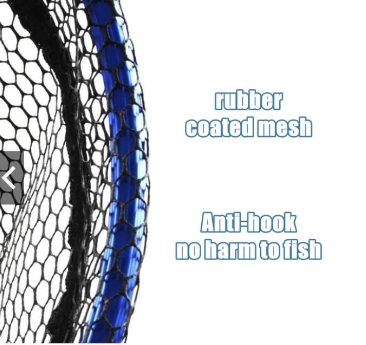 Net 2
