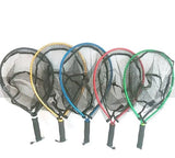 Nets 5 Colour