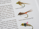 PChanScott Book-5