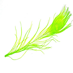 Peacock Eye Chartreuse sq