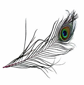 Peacock Eye Natural Pink Calamus