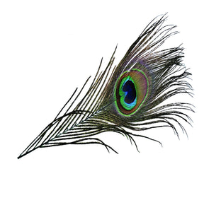 Peacock Eye Natural Teal Blue Calamus sq