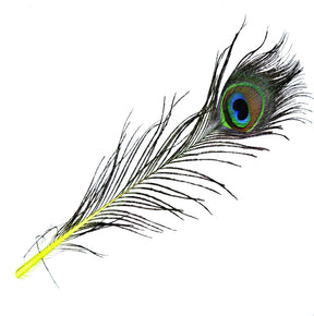 Peacock Eye Natural Yellow Calamus sq