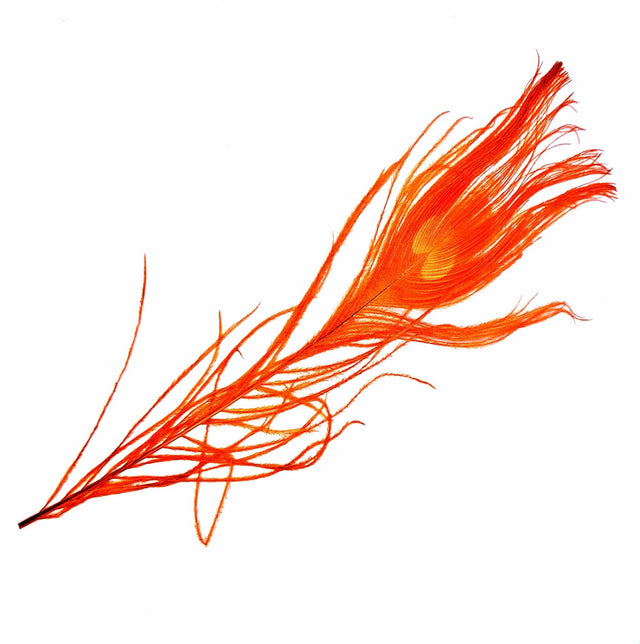 Peacock Eye Orange sq