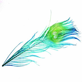 Peacock Eye Teal Blue sq