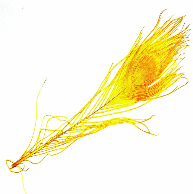 Peacock Eye Yellow sq