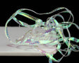 Pearl Braidback 255013 Pearl