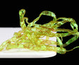Pearl Braidback - 255733 Golden Olive