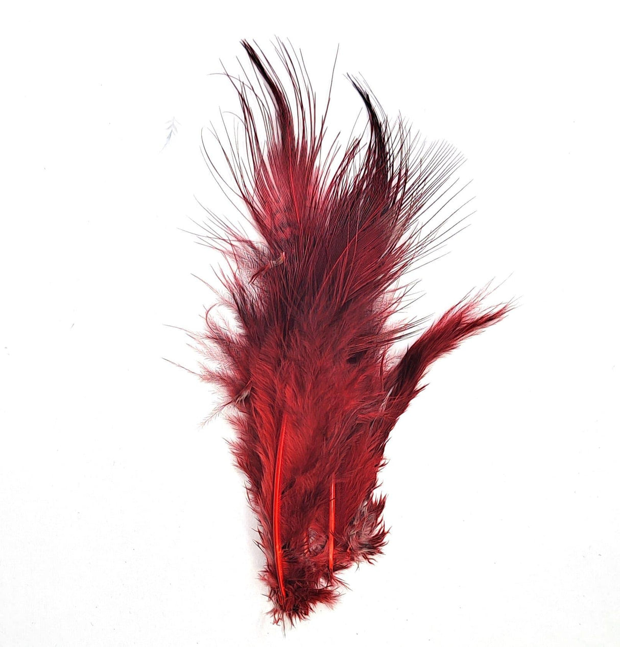Pheasant Rump Blood Red