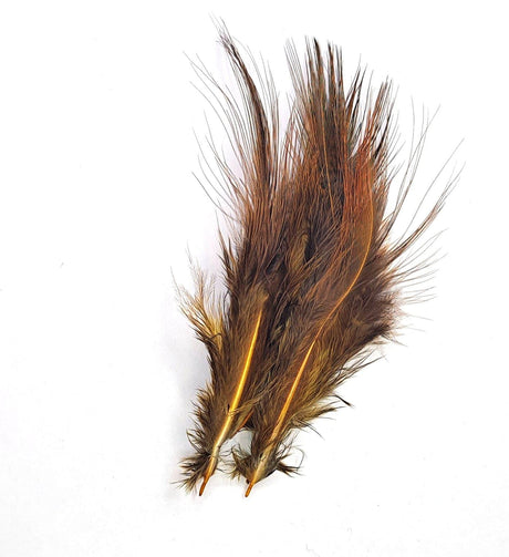Pheasant Rump Brown