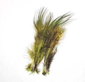 Pheasant Rump Dark Olive