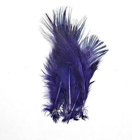Pheasant Rump Dark Purple
