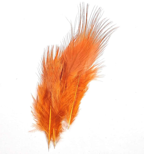 Pheasant Rump Fiery Brown