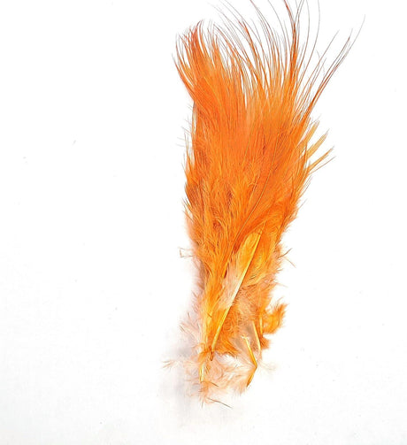 Pheasant Rump Orange