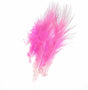 Pheasant Rump Pink