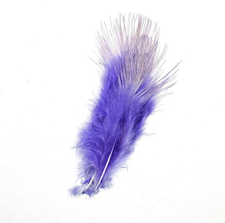 Pheasant Rump Purple