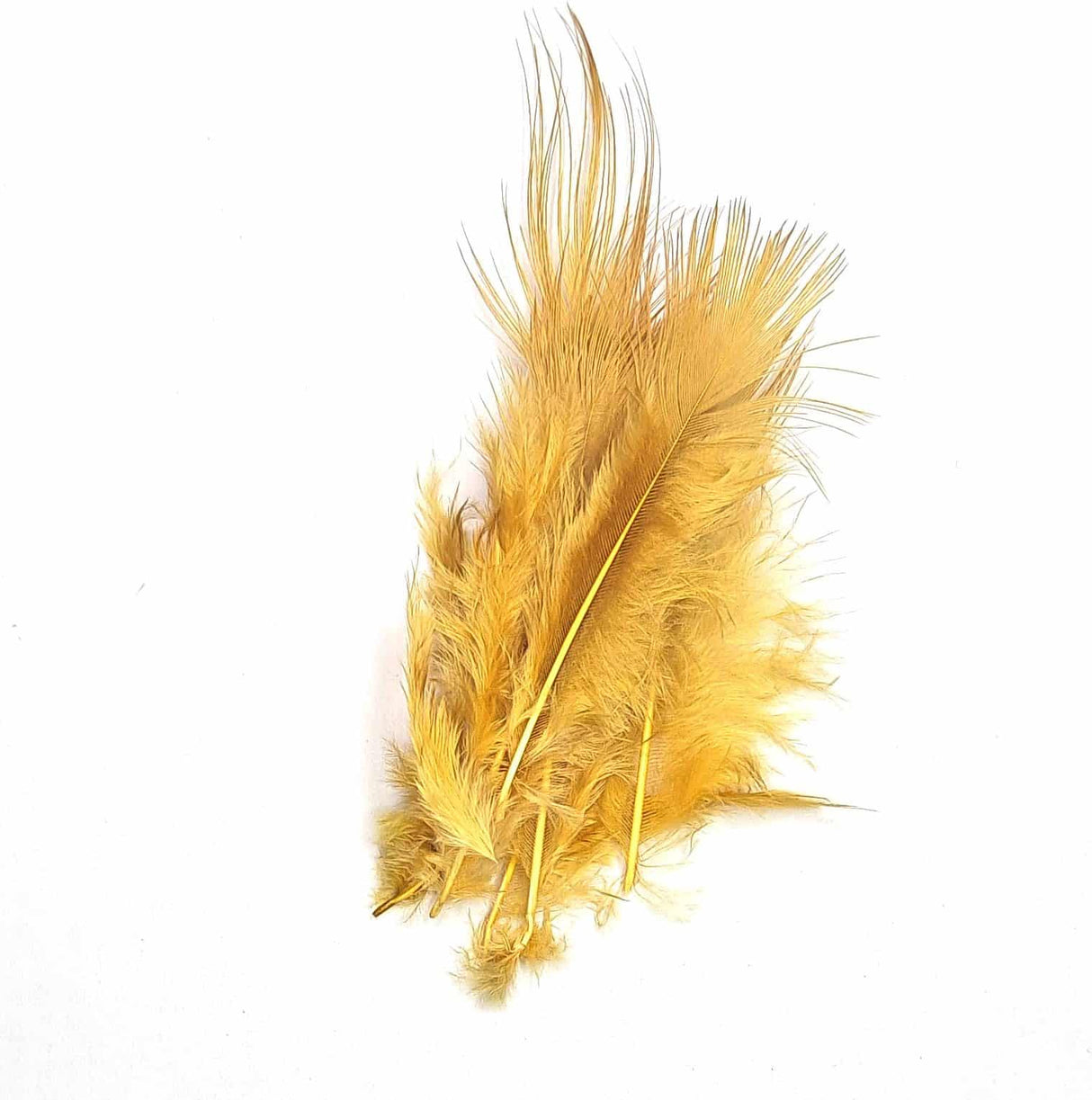 Pheasant Rump Tan