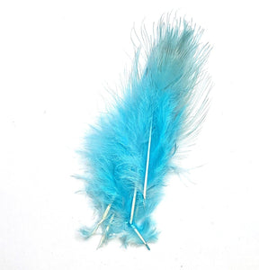 Pheasant Rump Teal Blue