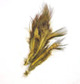 Pheasant Rump Yellow Olive