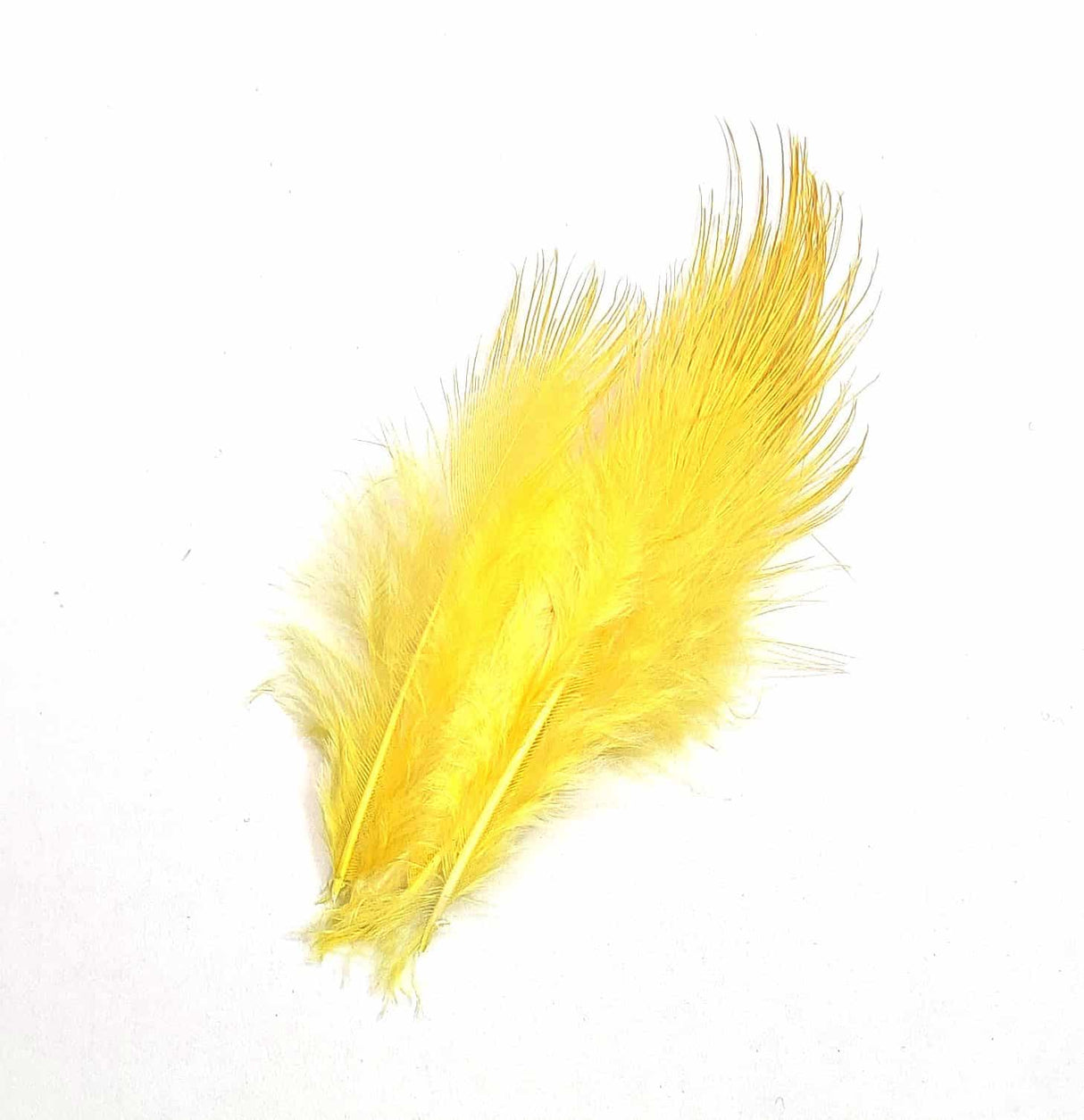 Pheasant Rump Yellow