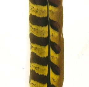 Pheasant Tail Yellow