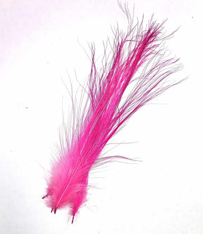 Pink Heron Egret Hackles