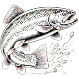 Rainbow Trout Leaping Image 1