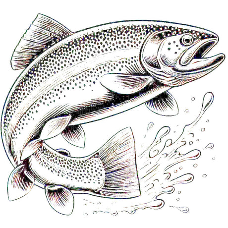Rainbow Trout Leaping Image 1
