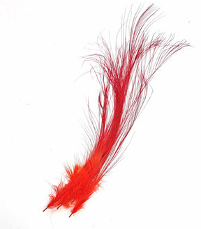 Red Heron Hackles Egret