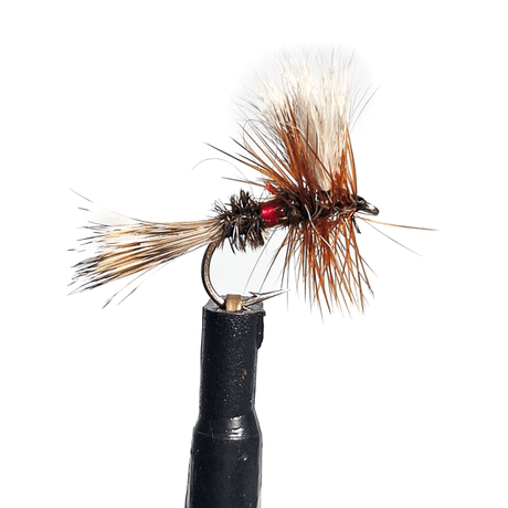 Royal Wulff Dry Fly