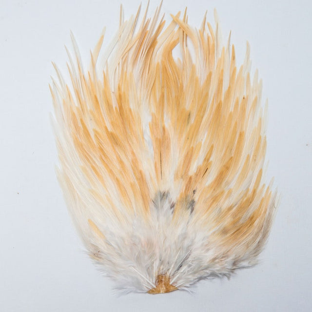 S0005