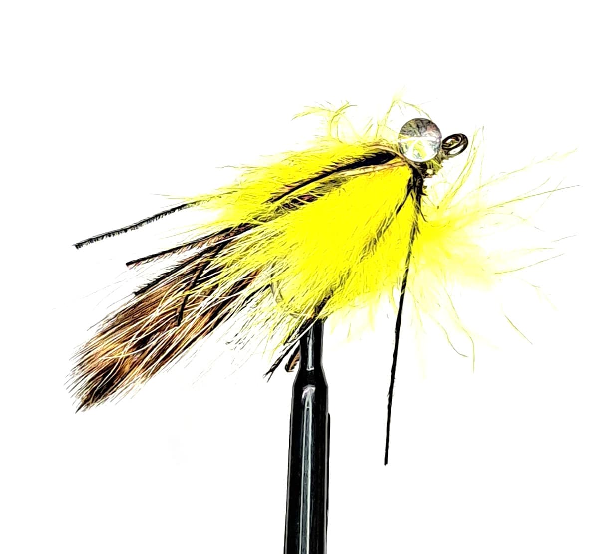 SW009