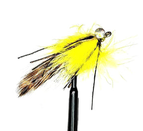 SW009