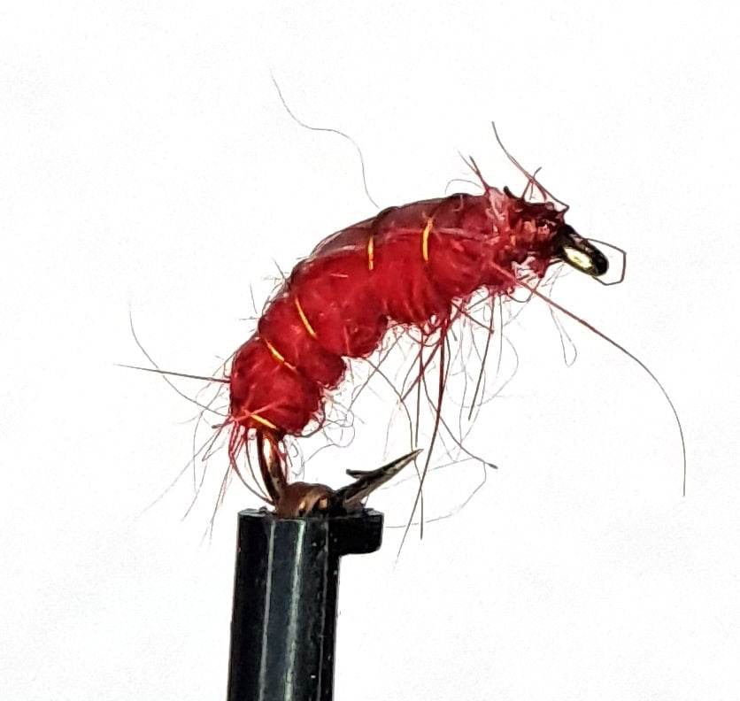 Scud 325