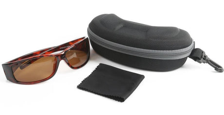 Sunglasses AP0904 B
