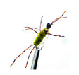 Stone Fly