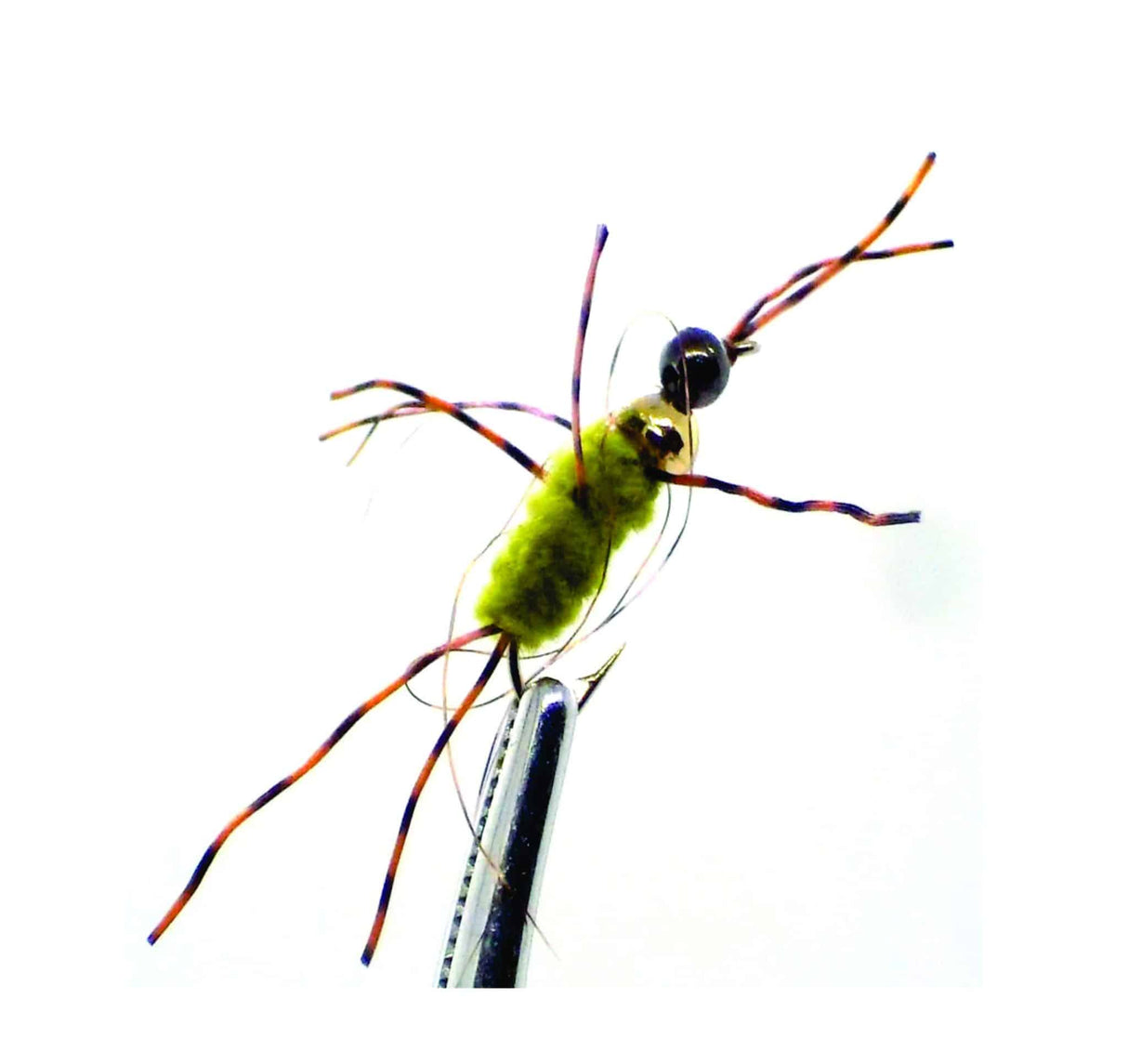 Stone Fly