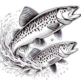 Tiger Trout Leaping Image 1