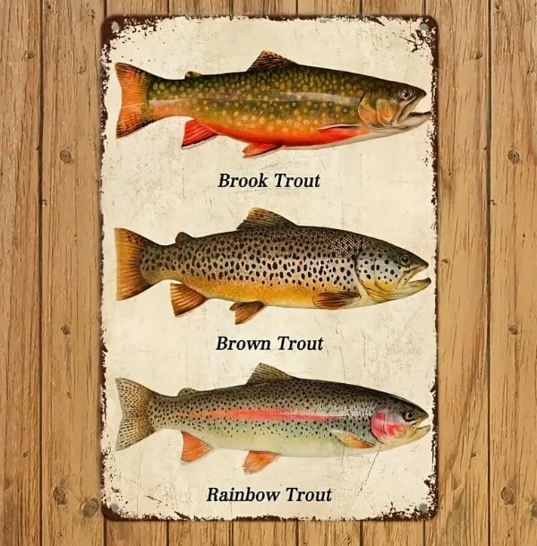Trout Sign