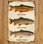 Trout Sign