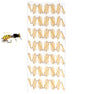 Wings - Wasp